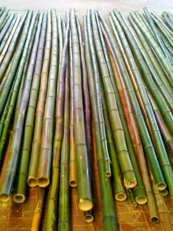 5282341 Canne di bamb  bamboo da 1 a 10