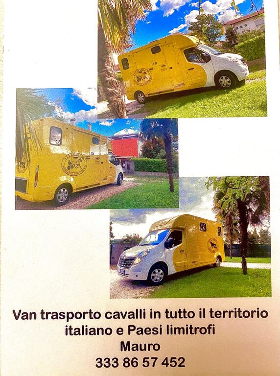 5316985 Trasporto cavalli 